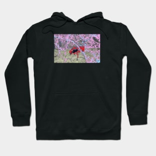 Bull / Swiss Artwork Photography Hoodie